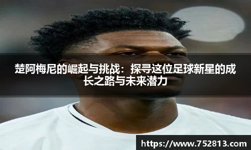 bsports官网入口