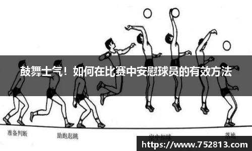 bsports登录入口