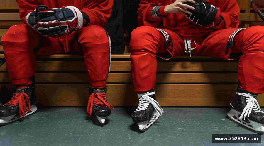 bsports(中国)B—sports登录入口